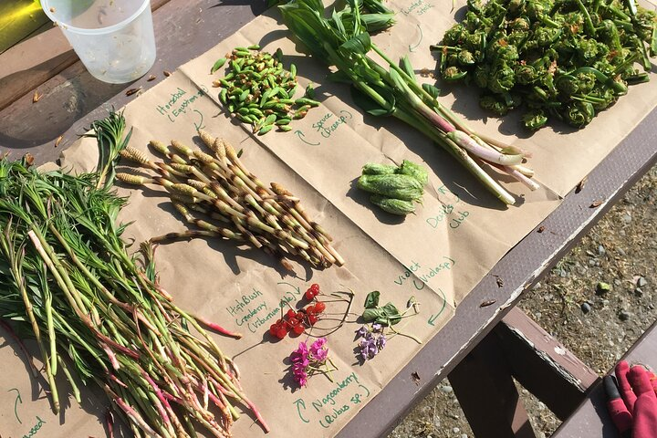 Backcountry Eats & Foraging Treats - Photo 1 of 14